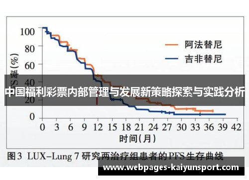 中国福利彩票内部管理与发展新策略探索与实践分析